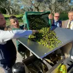 Olio, Coldiretti / Unaprol: "30 milioni di ulivi da salvare, sos alberi storici"