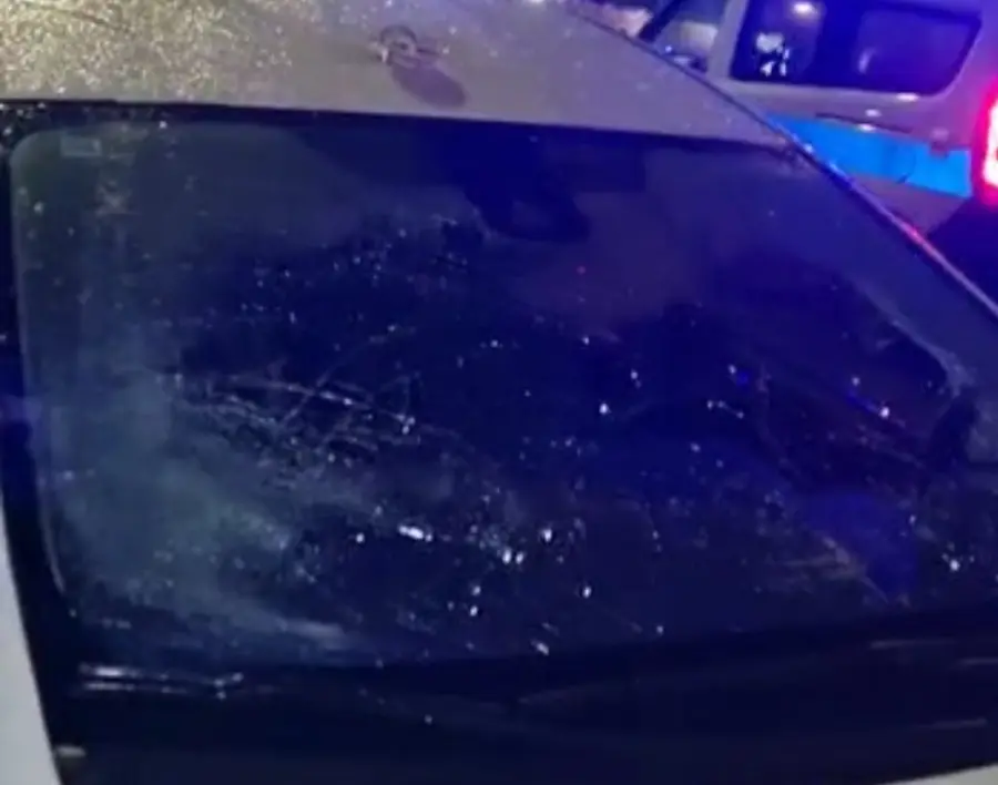 Roma, Giannini (Lega): "Cade albero su taxi via Aurelia, pericolosa situazione potature"