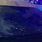 Roma, Giannini (Lega): "Cade albero su taxi via Aurelia, pericolosa situazione potature"