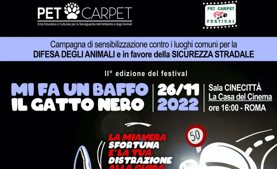 Arriva il Festival “Mi fa un baffo il gatto nero” alla Casa del Cinema