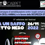 Arriva il Festival “Mi fa un baffo il gatto nero” alla Casa del Cinema