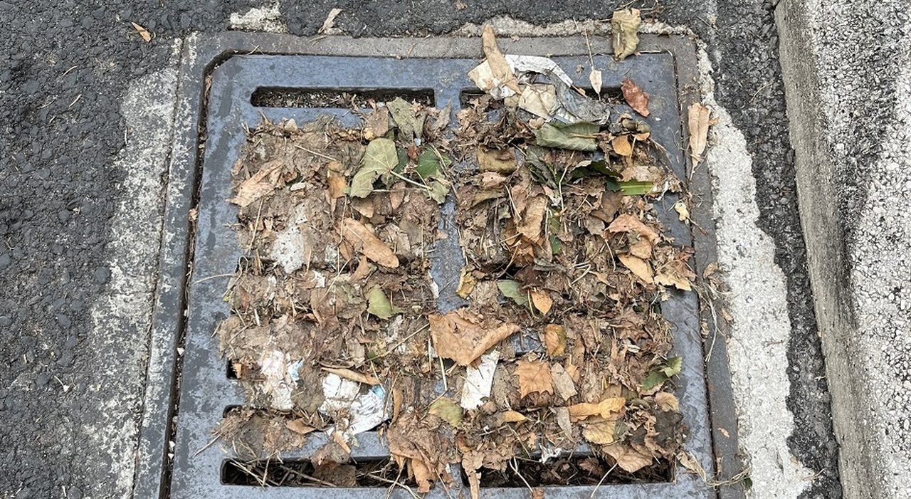 Vocaturo (PD Ama): "Personale Ama per pulire le caditoie? E' già allo stremo"