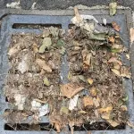 Vocaturo (PD Ama): "Personale Ama per pulire le caditoie? E' già allo stremo"