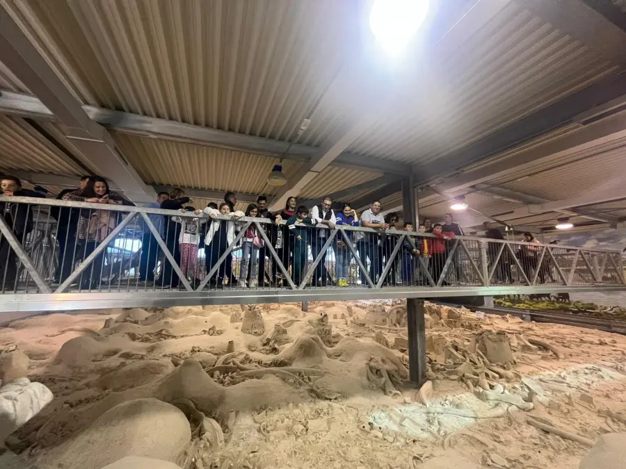 Associazione Cornelia Antiqua: "Apertura straordinaria del Museo Paleontologico La Polledrara di Ceca   nibbio, conosciuto anche come il Cimitero degli eleganti antichi"