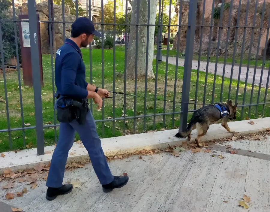 Roma, controlli interforze in zona Piazza Vittorio Emanuele II: 7 persone denunciate, 1 arrestata, 18 esercizi pubblici controllati: sequestrati 14 confezioni di tabacco illegalmente detenuto