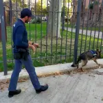 Roma, controlli interforze in zona Piazza Vittorio Emanuele II: 7 persone denunciate, 1 arrestata, 18 esercizi pubblici controllati: sequestrati 14 confezioni di tabacco illegalmente detenuto