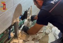 Roma, cane poliziotto “Faro” trova hashish e cocaina in una finta tubatura del bagno: arrestati due fratelli (FOTO-VIDEO)
