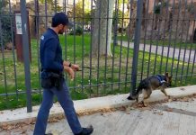 Roma, controlli interforze in zona Piazza Vittorio Emanuele II: 7 persone denunciate, 1 arrestata, 18 esercizi pubblici controllati: sequestrati 14 confezioni di tabacco illegalmente detenuto