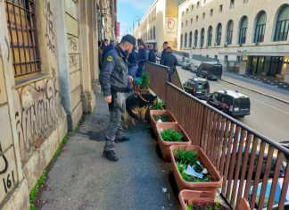 Roma, servizi interforze ad “Alto Impatto” nell’area di Piazza Vittorio Emanuele II e in zone della Movida: denunciato titolare struttura ricettiva