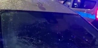 Roma, Giannini (Lega): “Cade albero su taxi via Aurelia, pericolosa situazione potature”